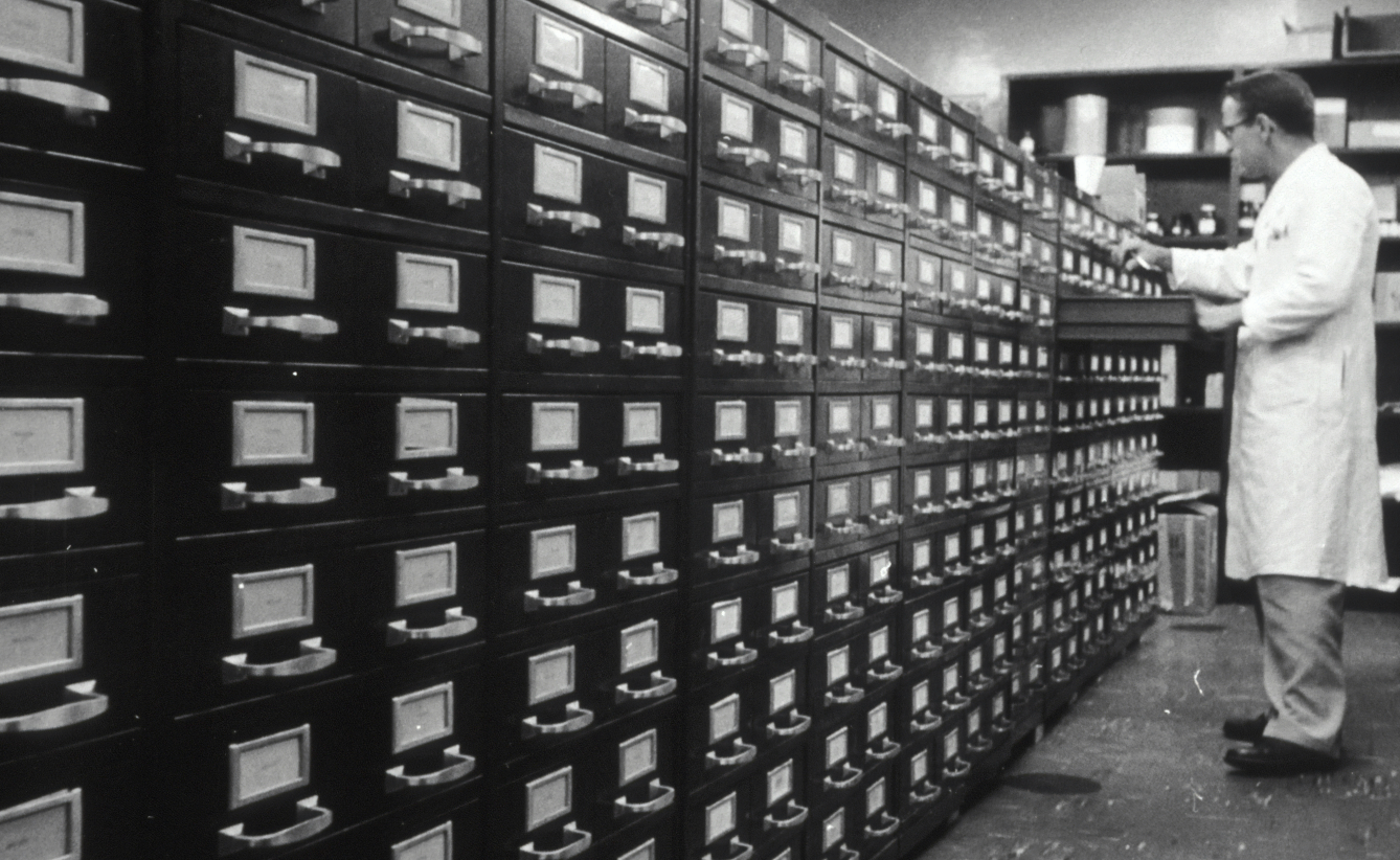 Chemische Strukturmodelle im Vergleich: 3,4-ETMC vs. MDMA – Unterschiede in Wirkung und Aufbau.