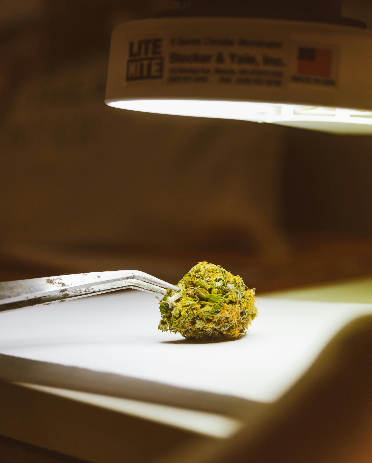 Vergleich von 9H-HHC und 10-OH-HHC mit chemischen Strukturen und Wirkprofilen