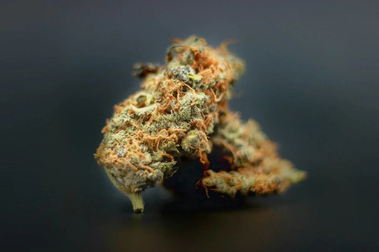 Top 5 Hybrid-Sorten 2025 – Vergleich der besten Cannabis Hybrids mit Effekten, Aromen und Tipps zur Auswahl