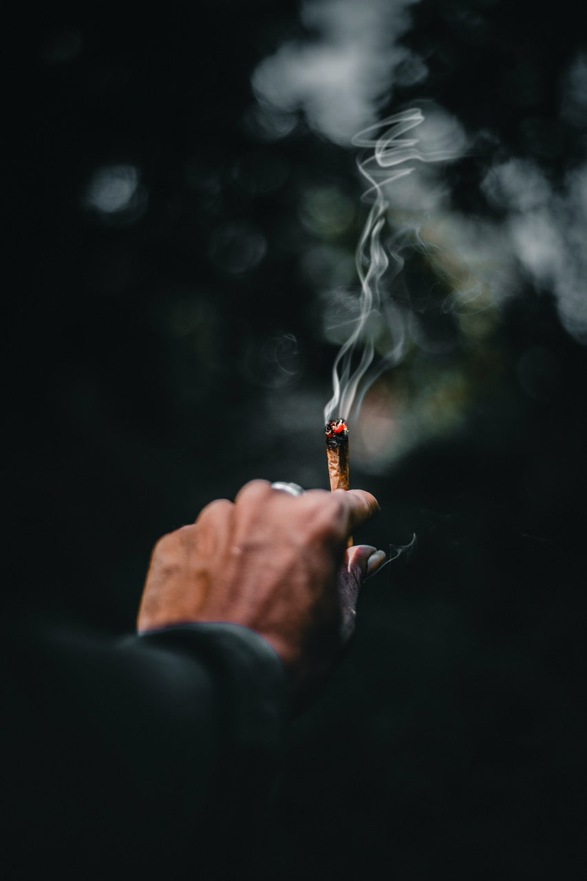 Berlin vs. Bayern – Vergleich der Cannabis-Regeln 2025 zu Besitz, Konsum, Clubs und Strafen