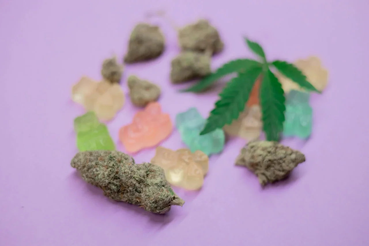 THC Edibles auf einem lila Hintergrund mit Cannabisblättern und Blüten