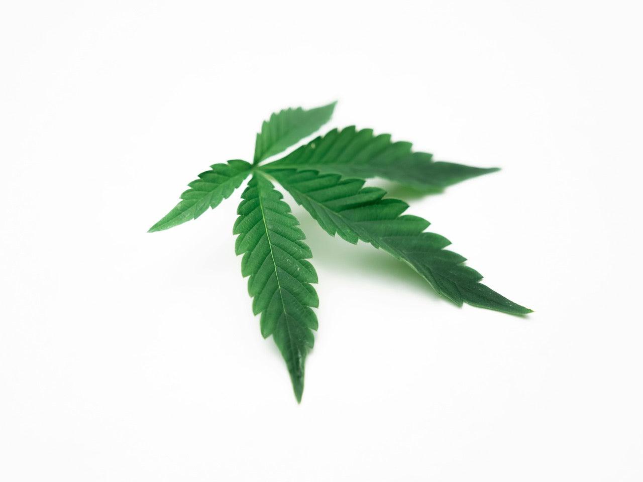 HHC als medizinisches Cannabinoid: Potenzial, Risiken & Alternativen 2025 - Happy Flower