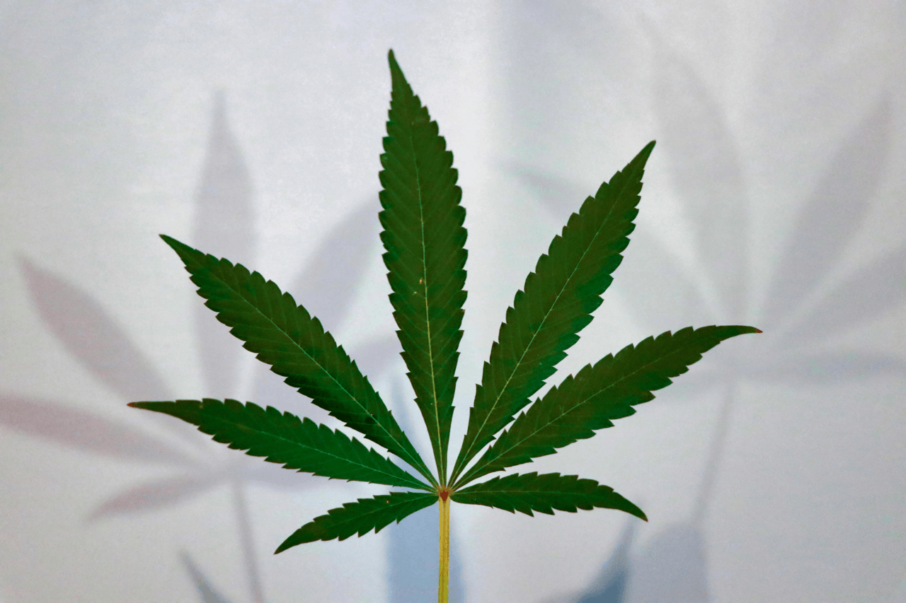 THCM – Alles über das seltene Cannabinoid, seine Wirkung & Legalität