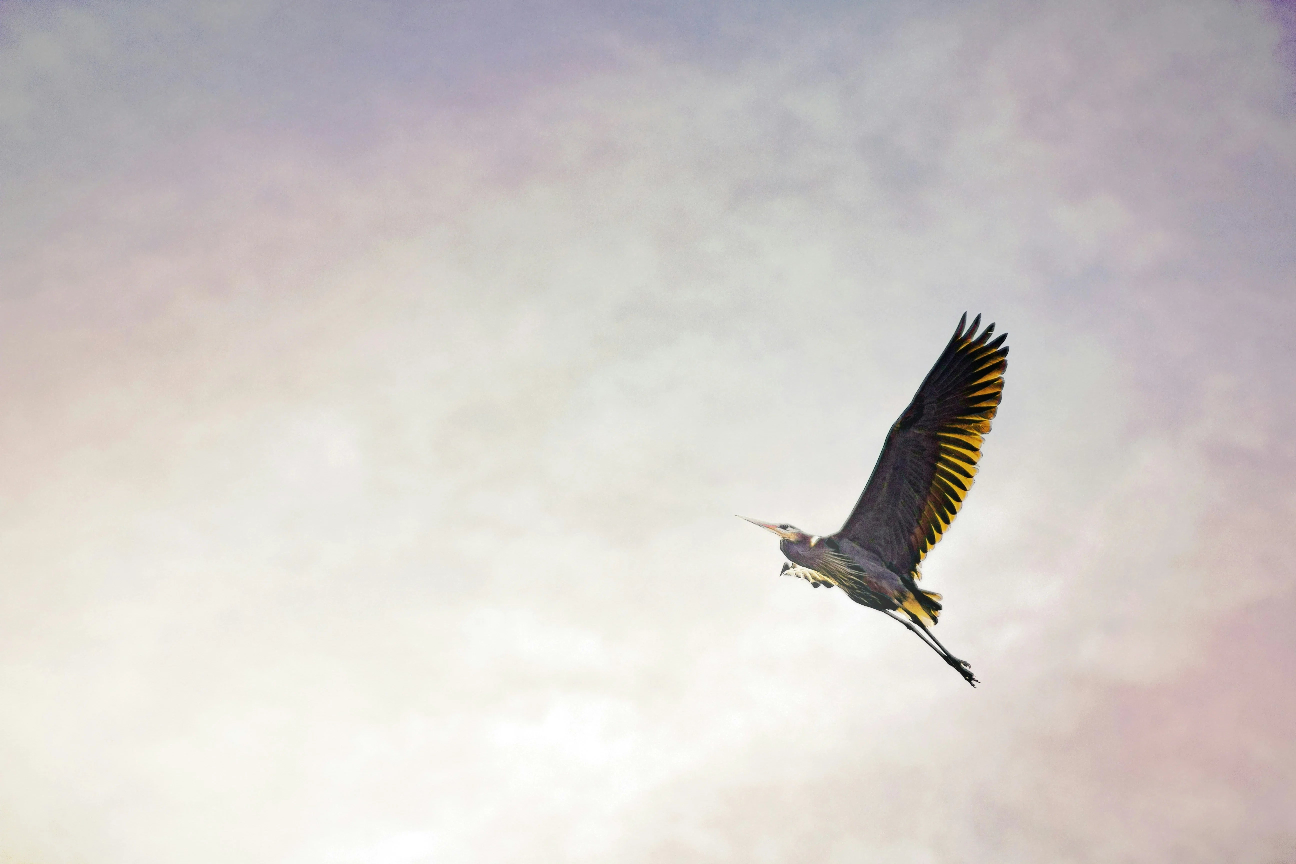 CBD-, THC- und PHC-Produkte von HappyFlower.io – legal high werden 2025 mit Blüten, Edibles & Vapes