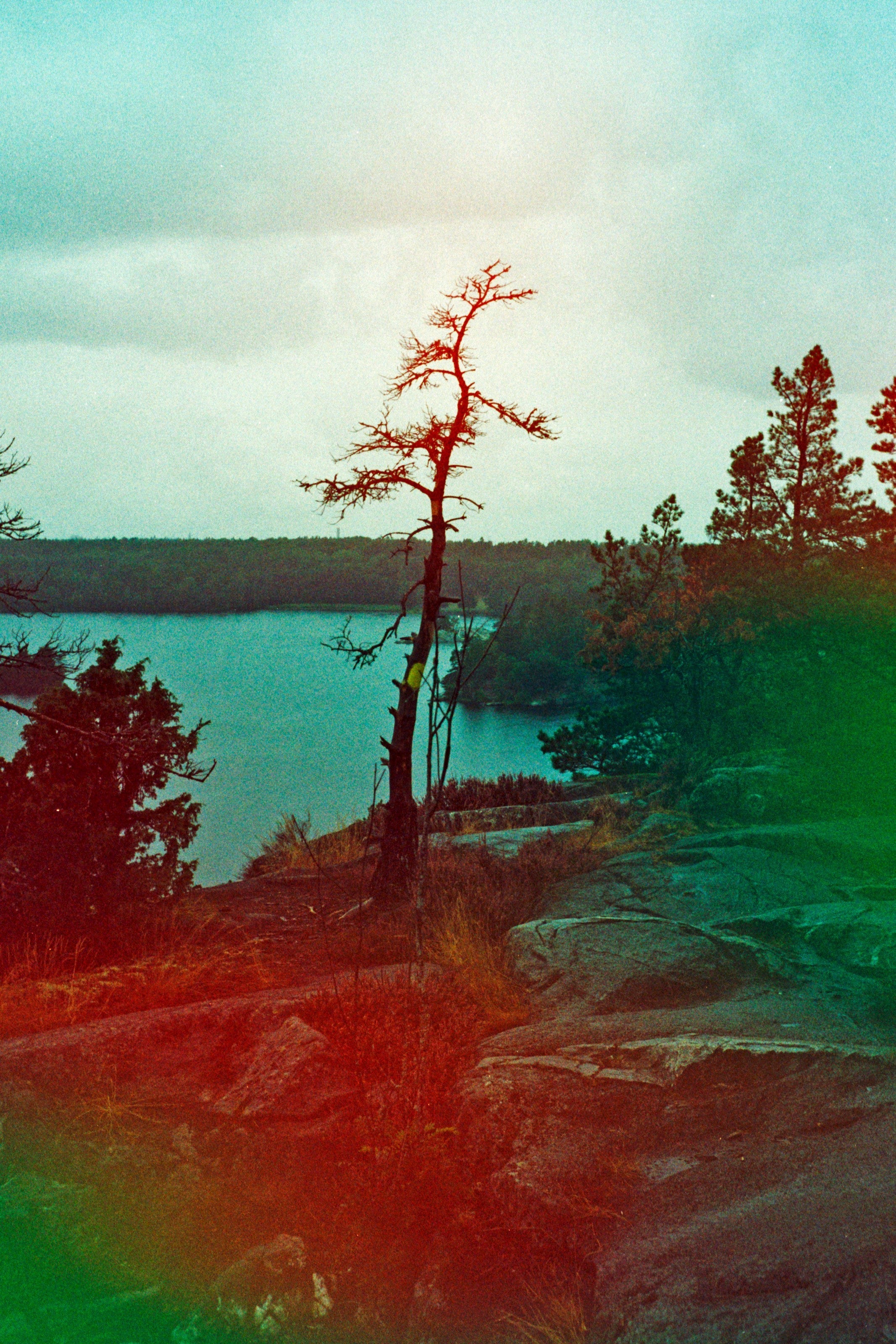 Illustration bunter Psychedelik-Muster mit Schriftzug LSD Alternative 2025 – Symbol für neue legale Substanzen.