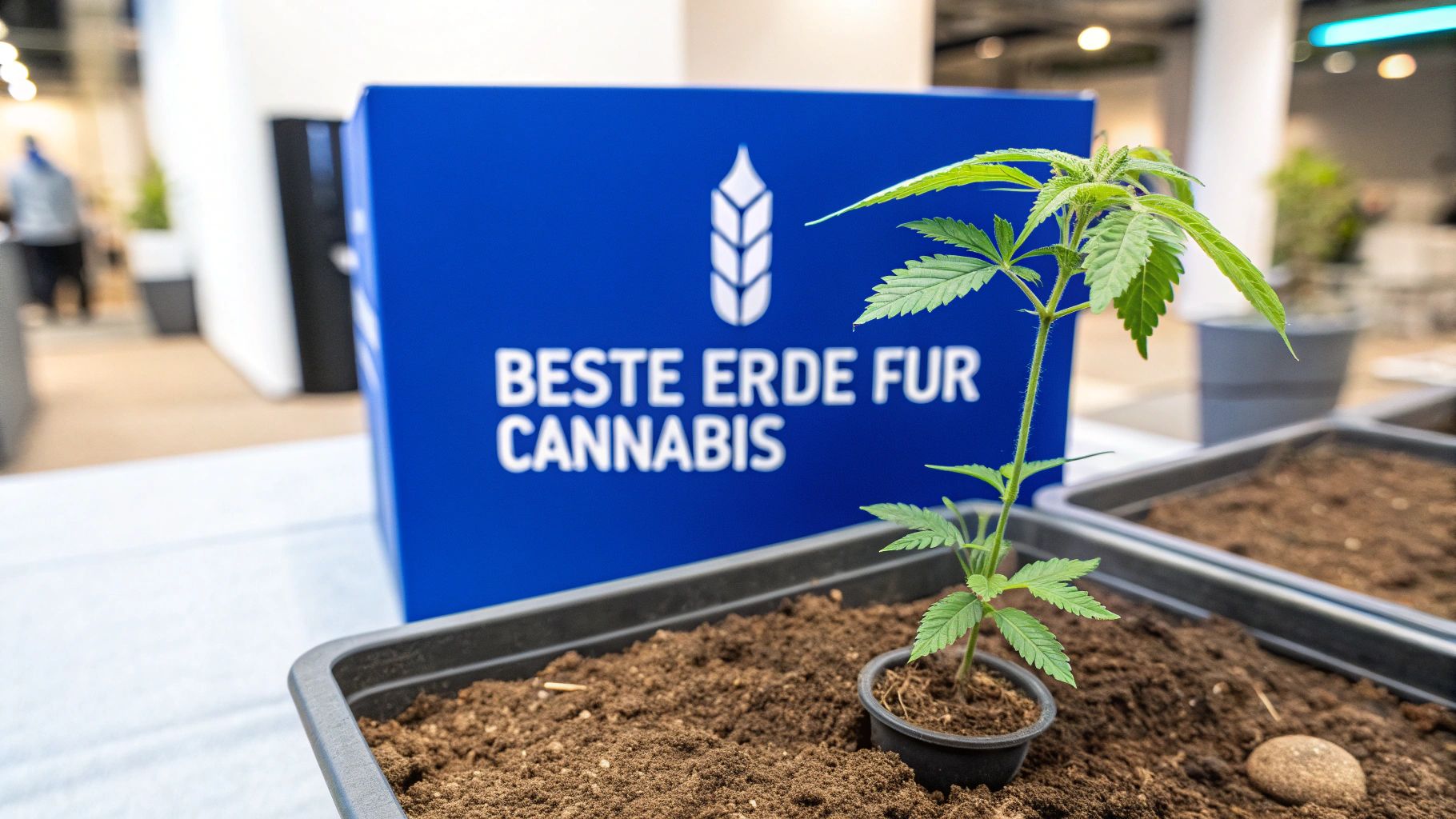 Beste erde für cannabispflanzen für maximalen ertrag