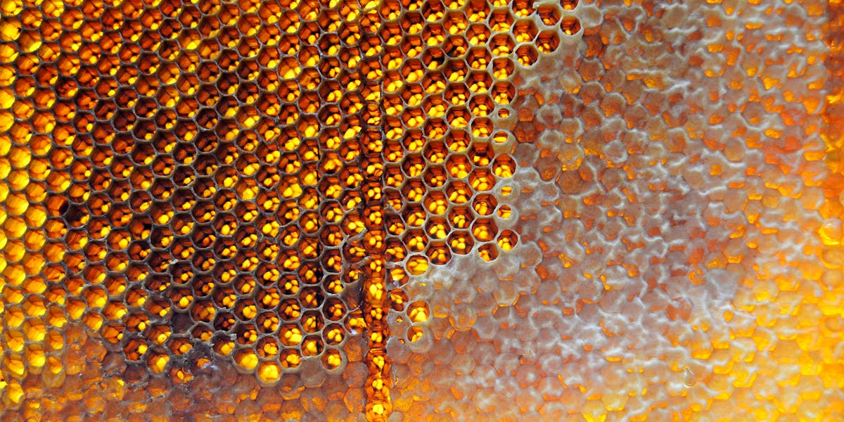 Cannabis Wax kaufen — Goldenes Wax Konzentrat für Dabbing