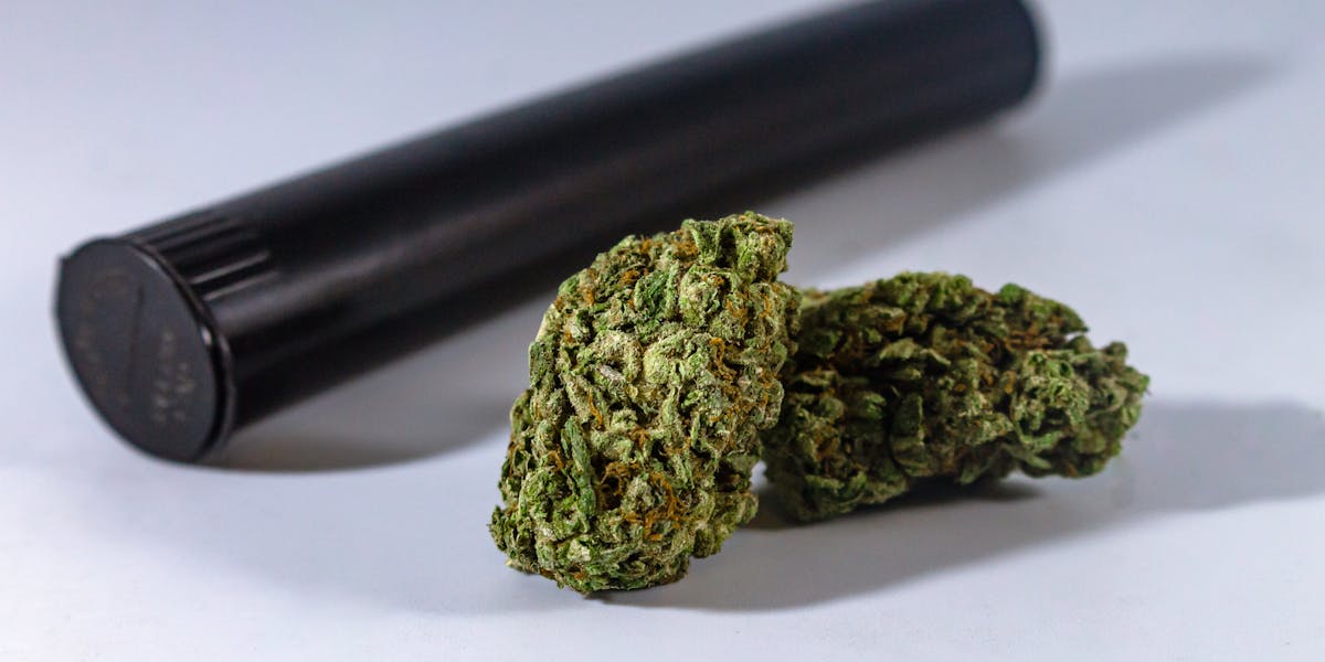 Buy Cannabis Flowers — Close-up shots of high-quality green cannabis buds