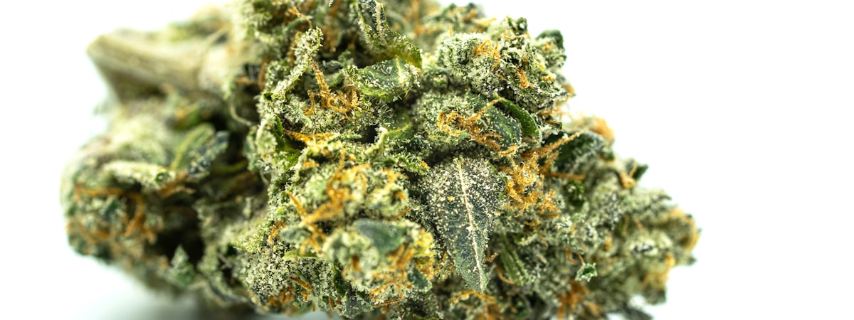 Comparativa de cannabinoides legales en 2026: 9H-HHC, PHC, CBG-9, THCA, CBD y CBN en flores
