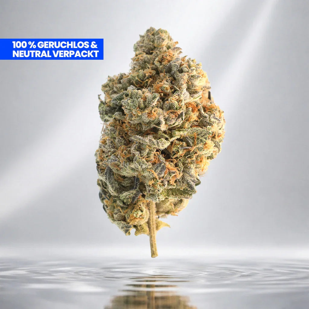 Compra Amnesia Runtz 9H-HHC Cali Bluete en Happy Flower.