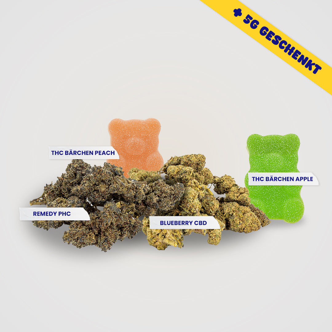 Balance statt Burnout Bundle - 5g geschenkt