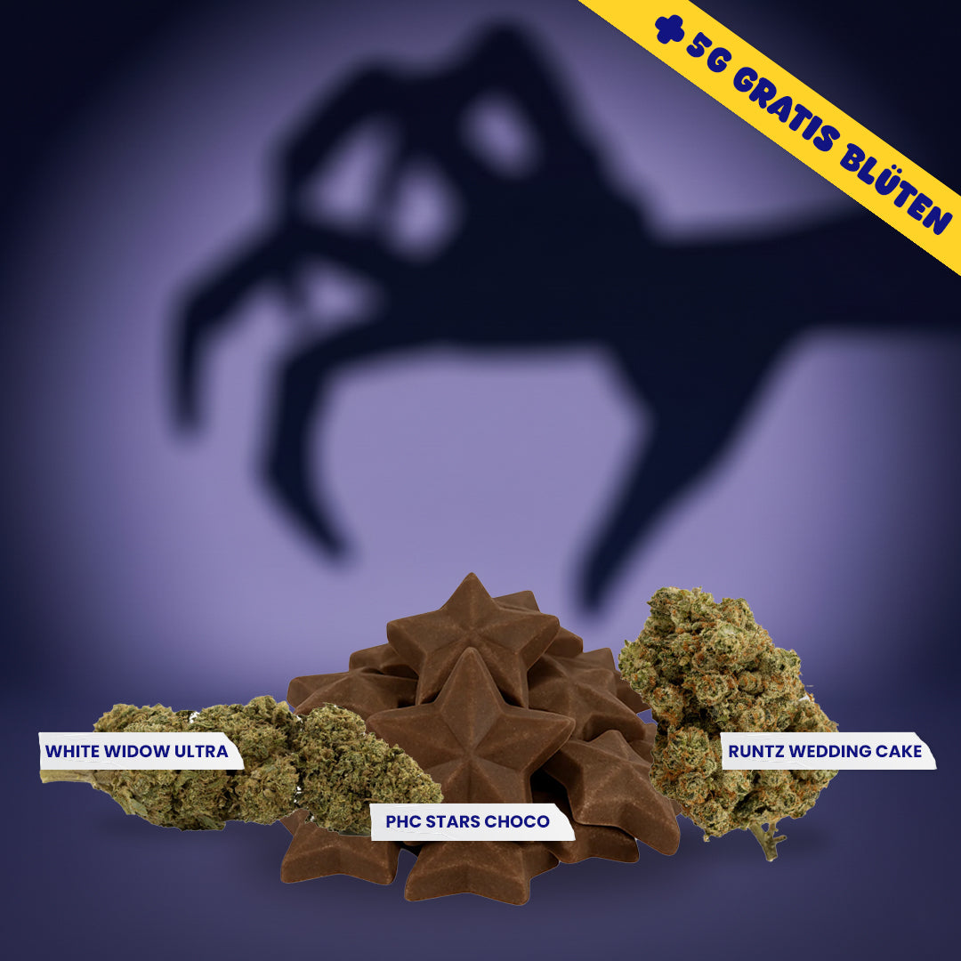 Boo Balance Box – Scare Stress Away - 50€ sparen