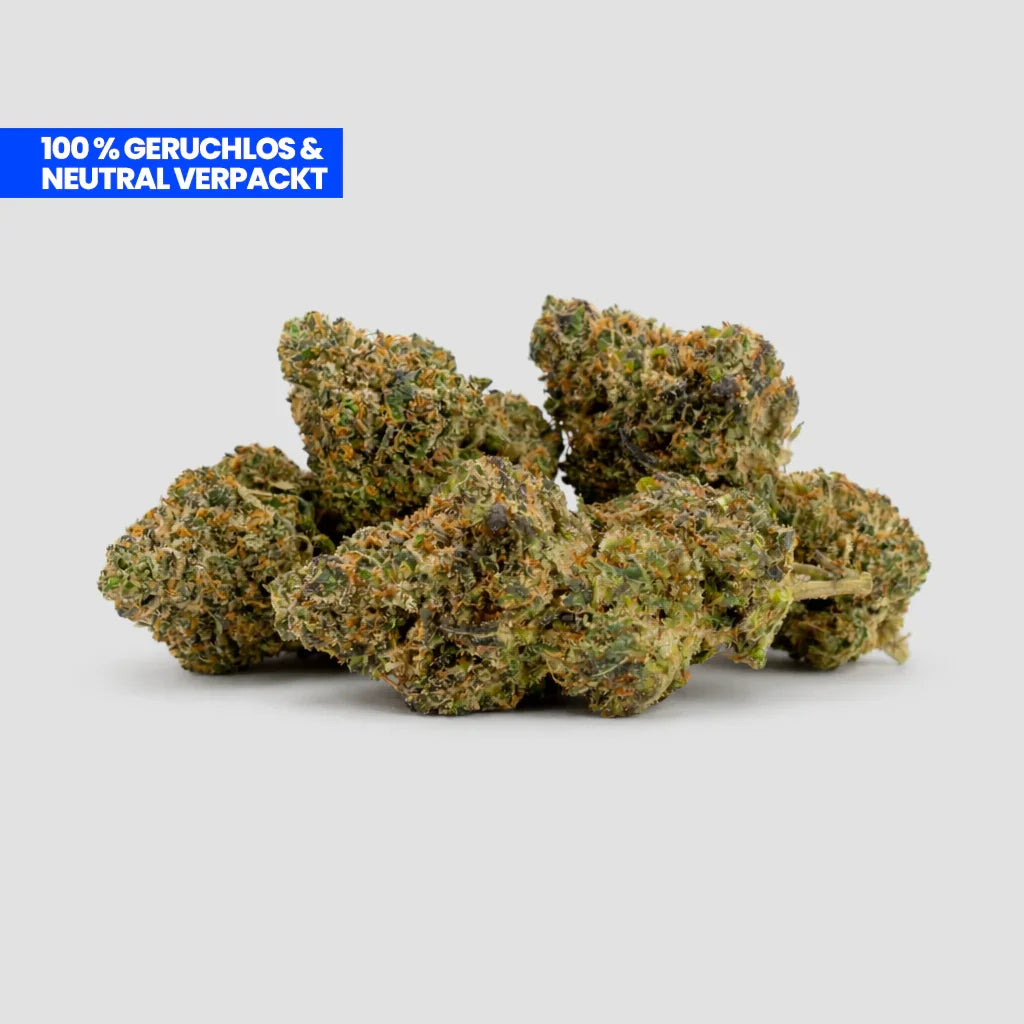 Amnesia Haze PHC Flowers