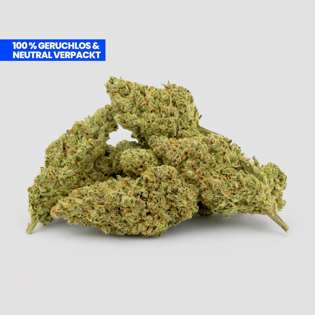 Amnesia CBG-9 Blüten