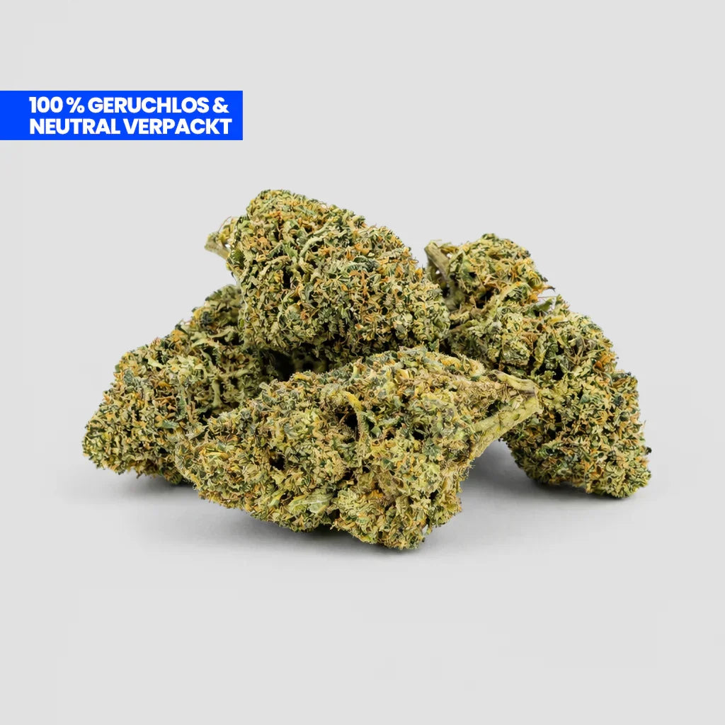 Blueberry CBD 25 % Blüten