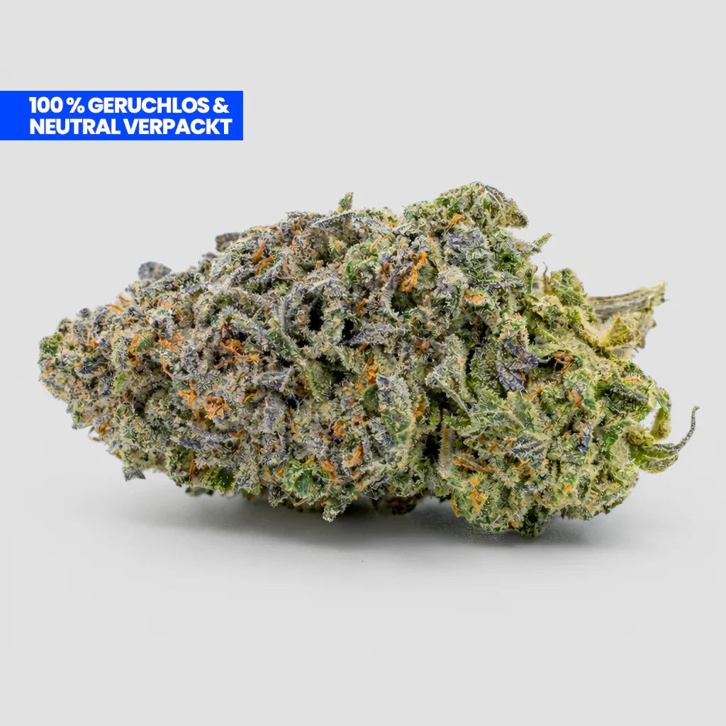 Blueberry Kush 9H-HHC Blüte