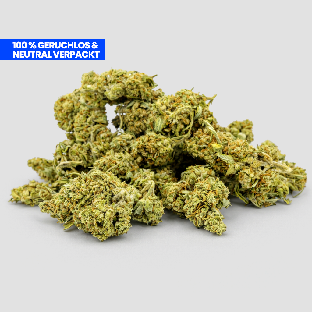 Cheese Skunk CBD 25 % Blüten