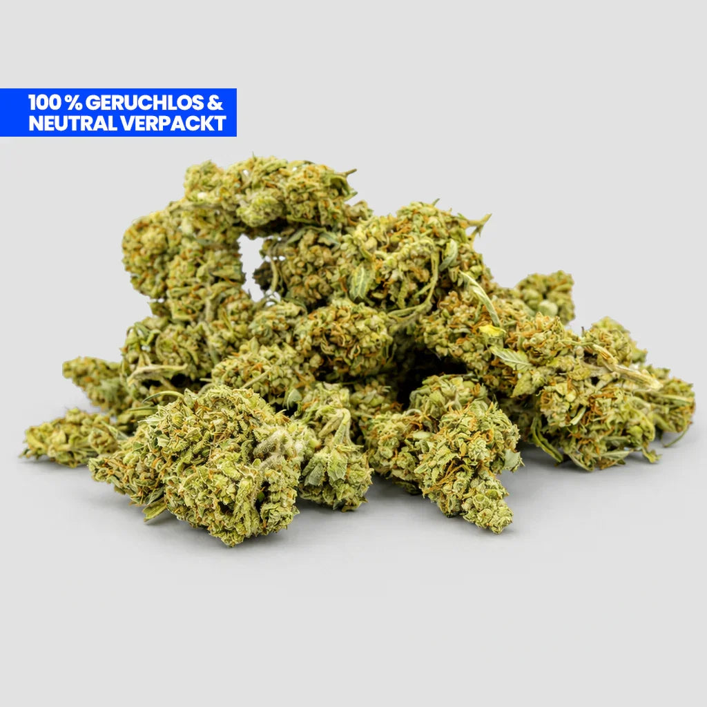 Cheese Skunk CBD 25% Flowers