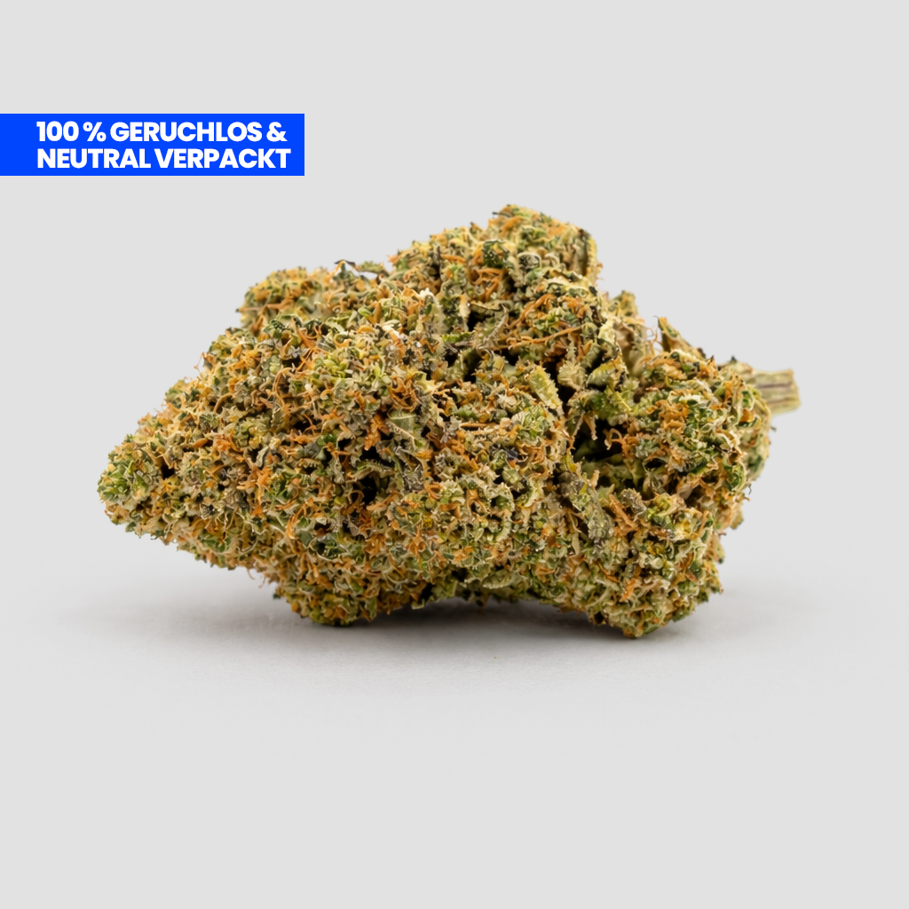 Cherry CBD 25 % Blüte