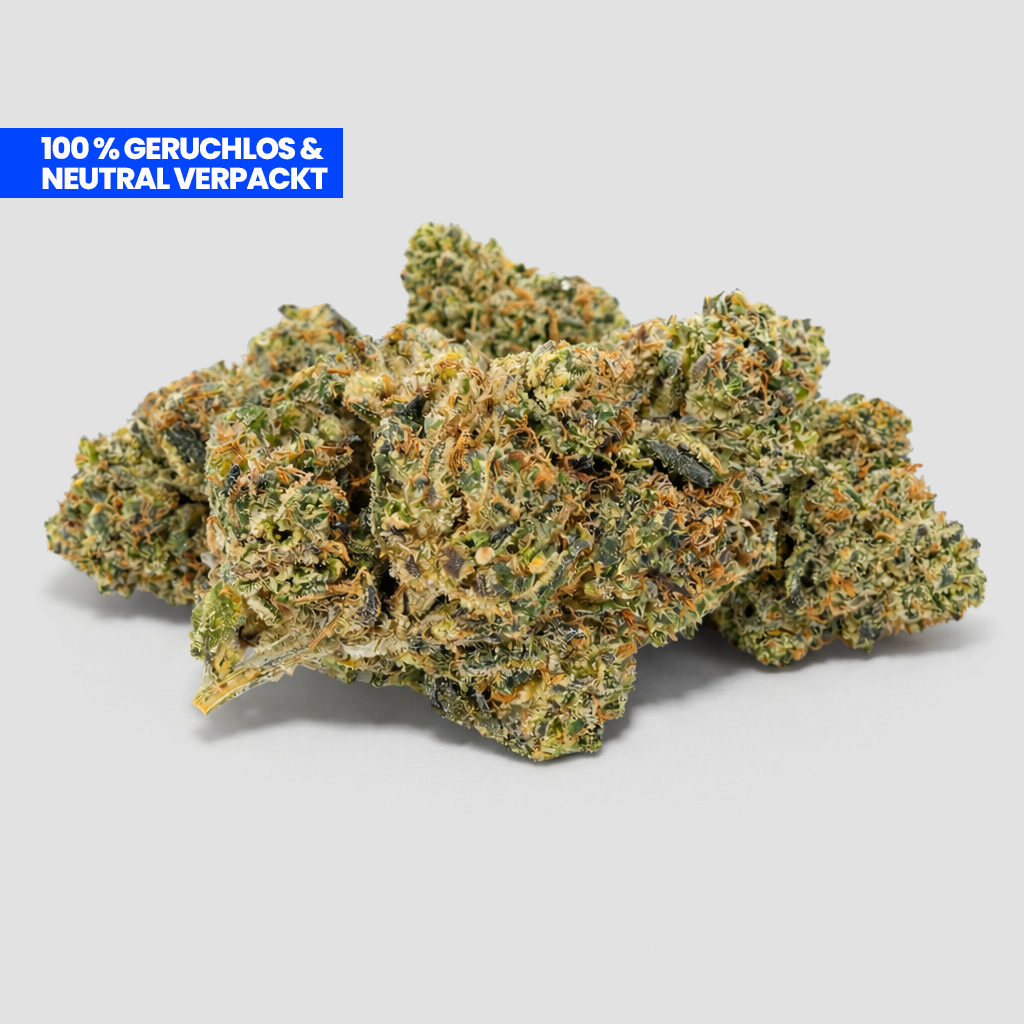 Critical CBD 25 % Blüten