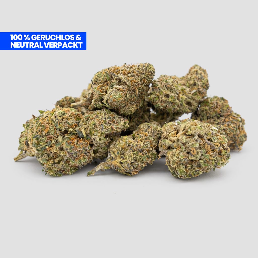 Critical CBG-9 Blüten