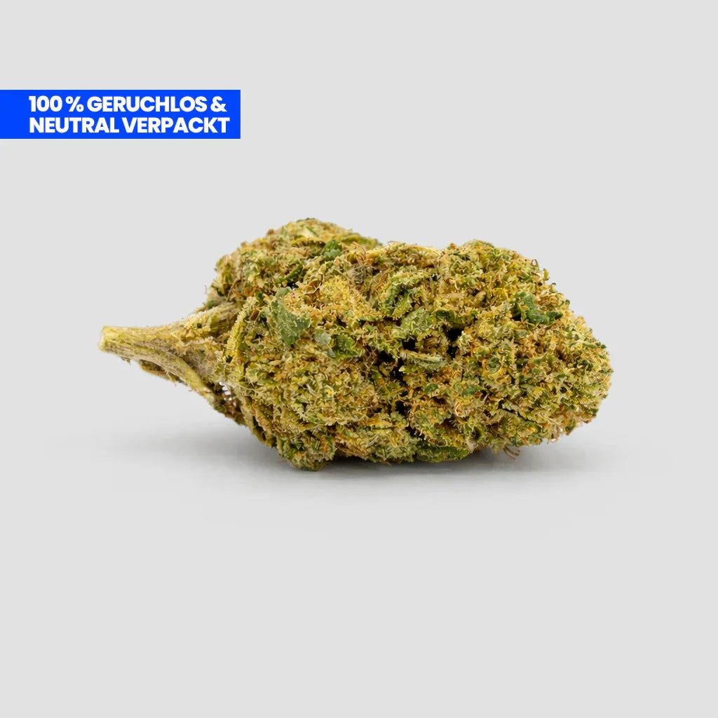 Gelato CBD 35% Blüte