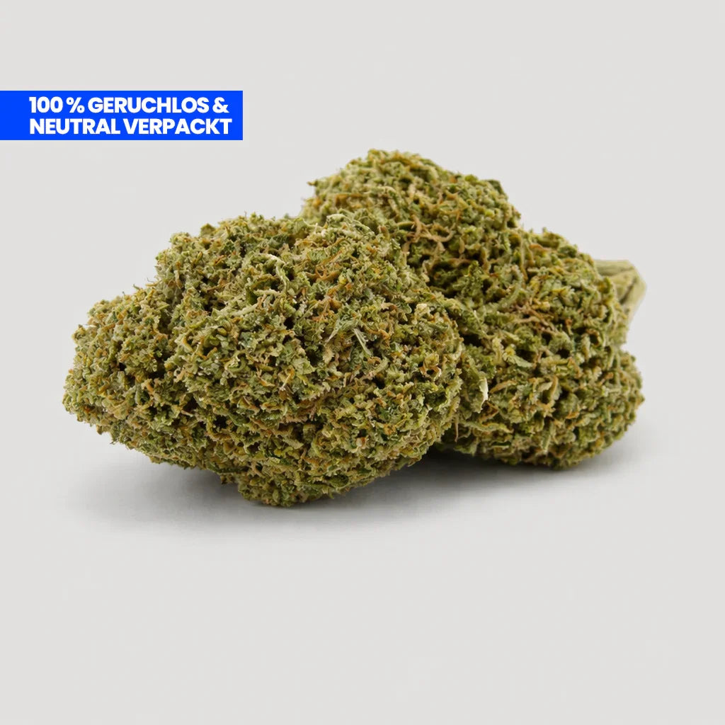 Lemon CBD 25 % en flor