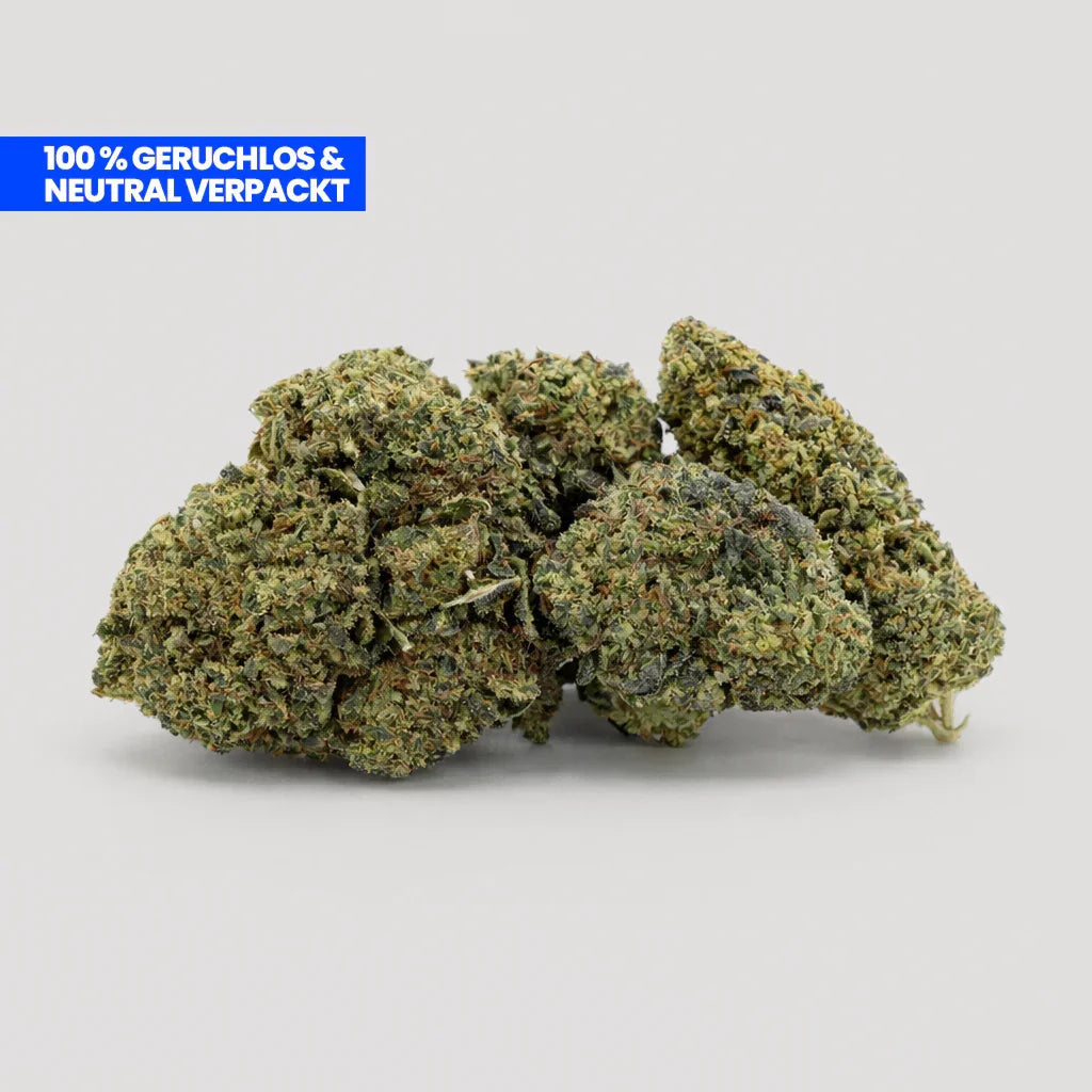 Lemon Haze PHC Blüten