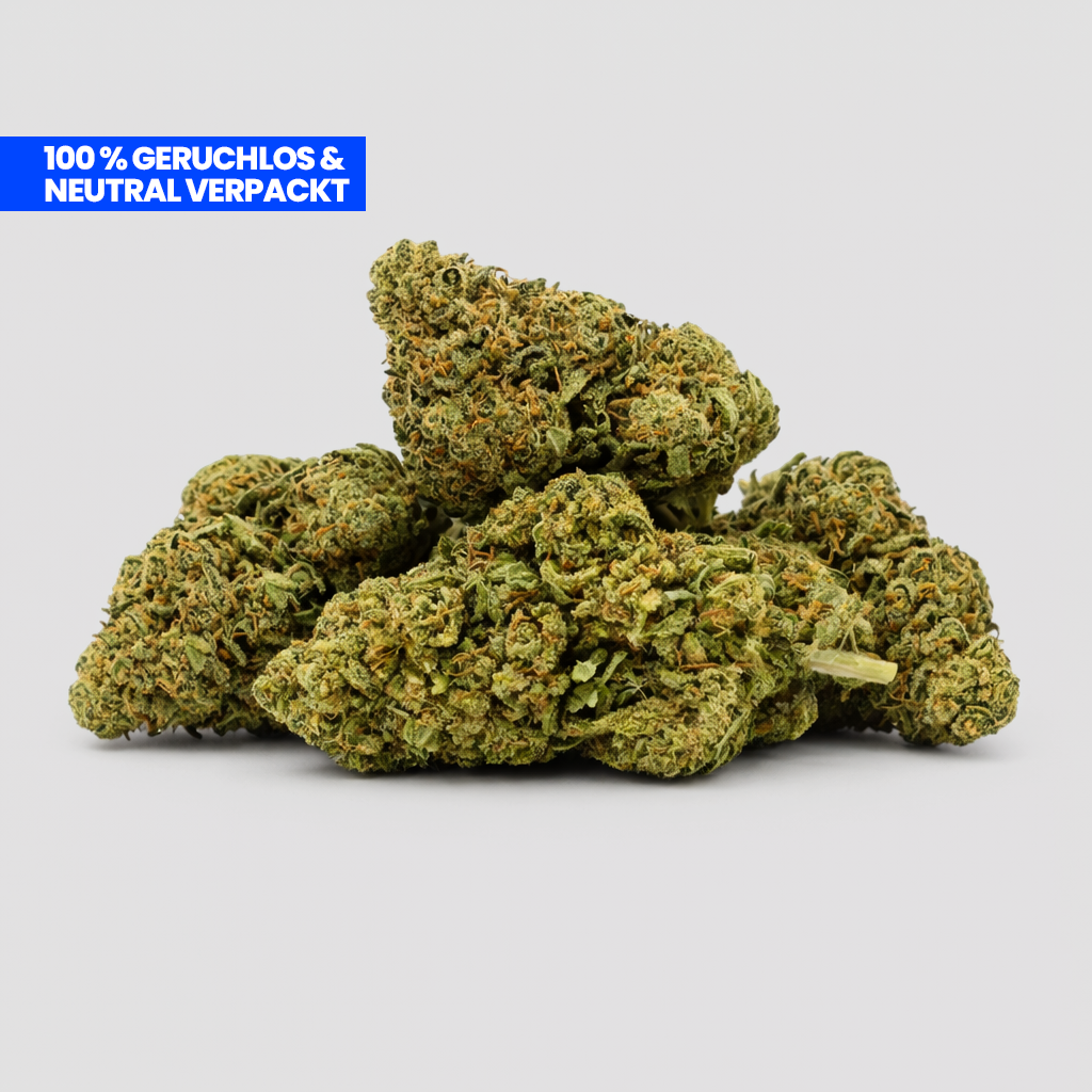 Mango Kush 9H-HHC Blüten