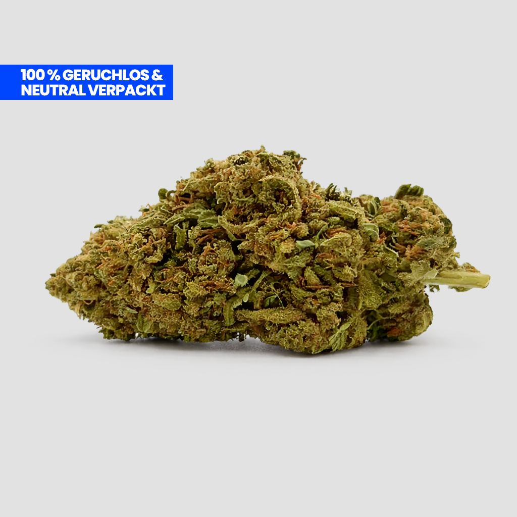 Mango Kush 9H-HHC Blüte