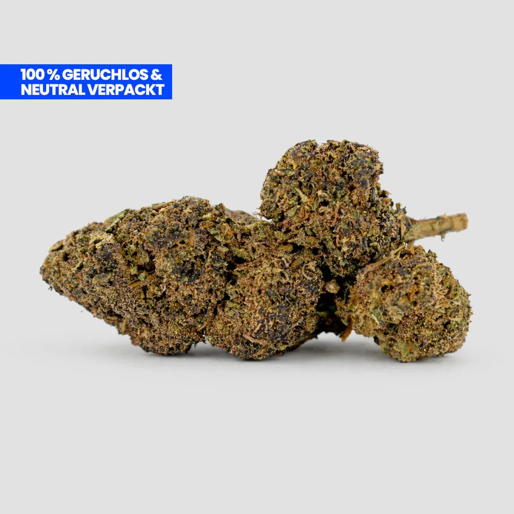 Maui Wowie 9H-HHC Blüte