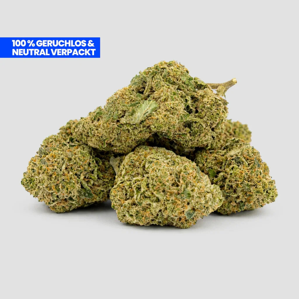 Flores de Mimosa CBD al 35 %