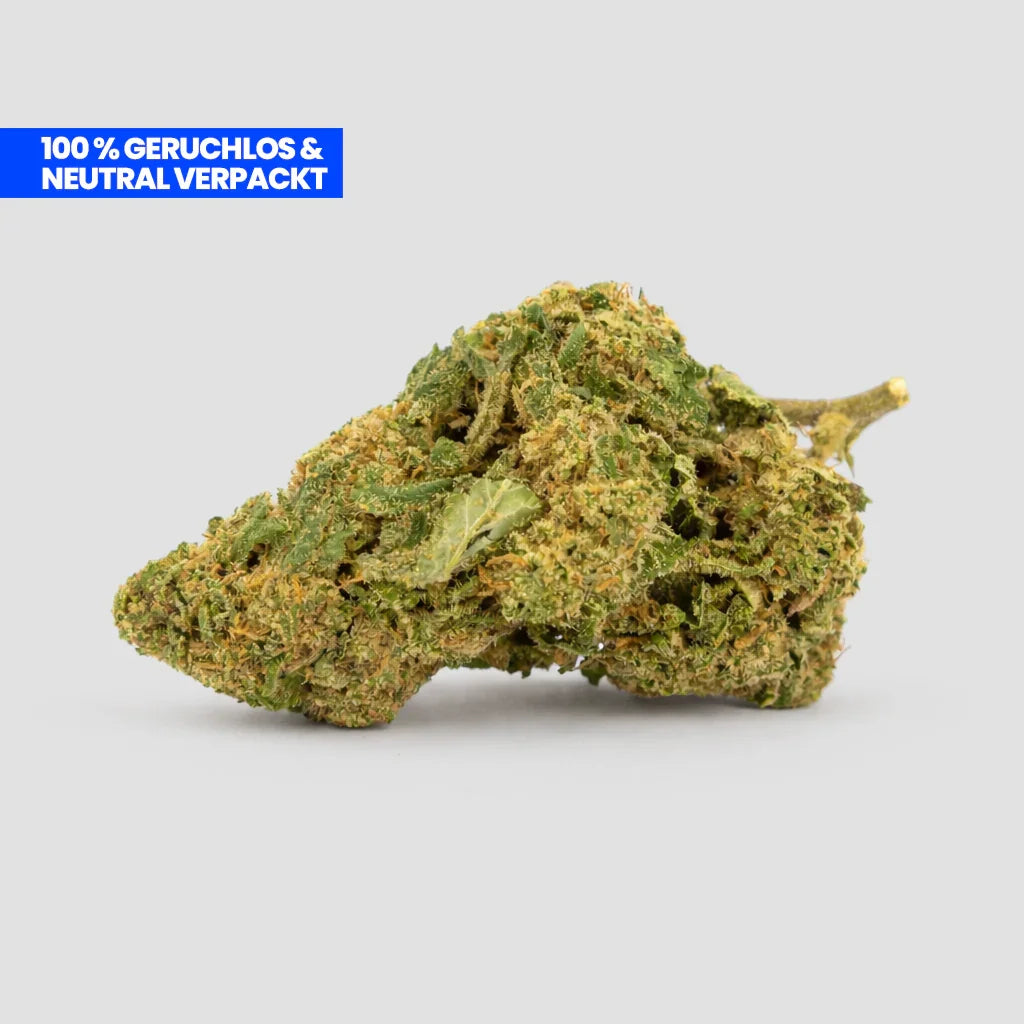 Mimosa CBD 35 % en flor