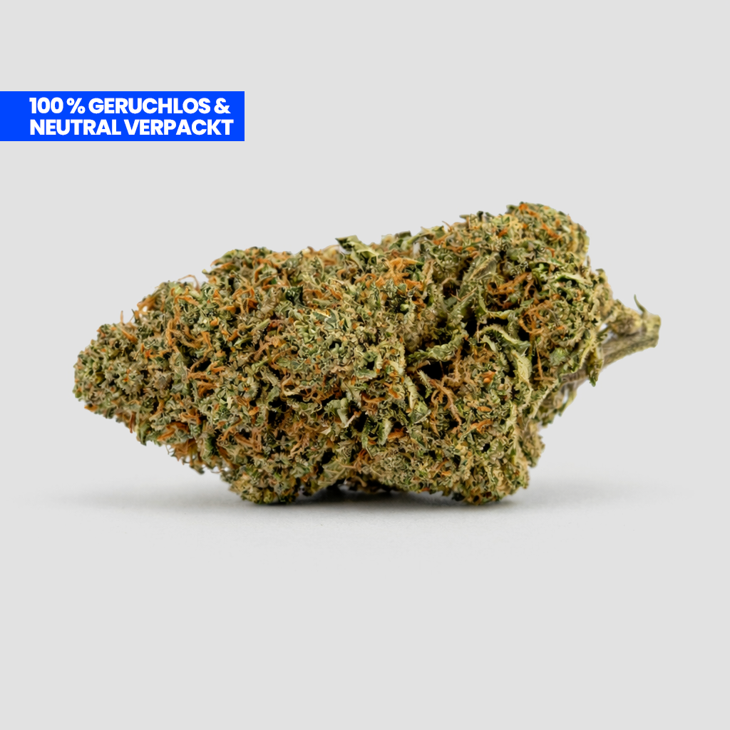 OG Kush CBD 25 % Blüte