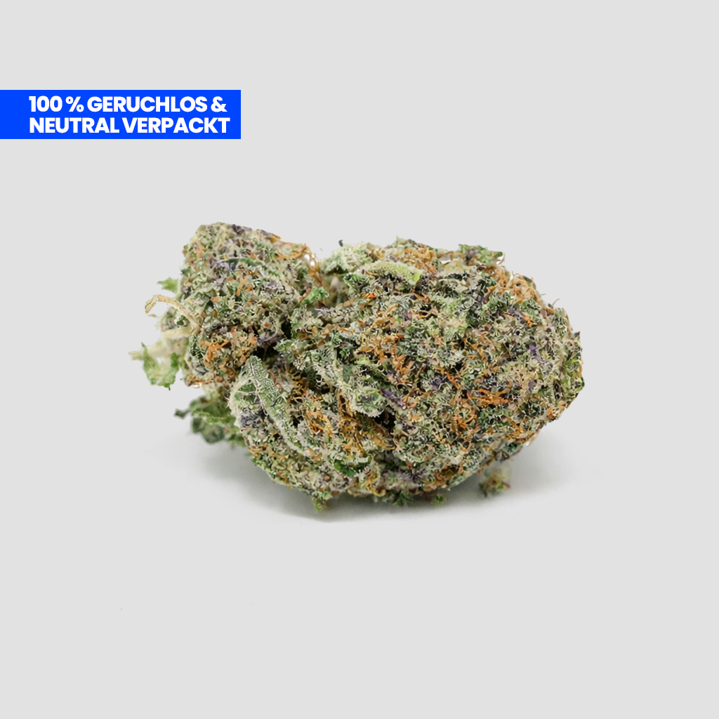 Purple-Candy-Kush-9H-HHC Blüte