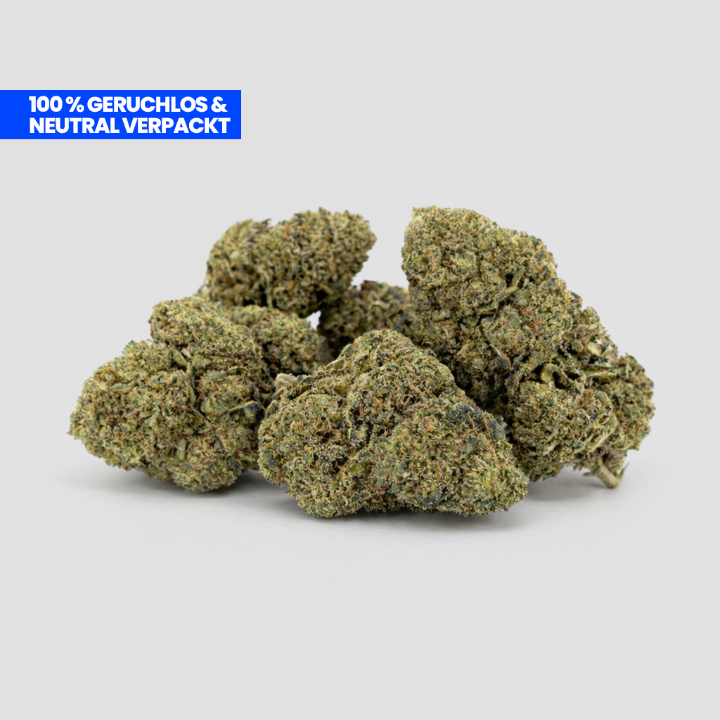 Purple Haze 9H-HHC Blüten