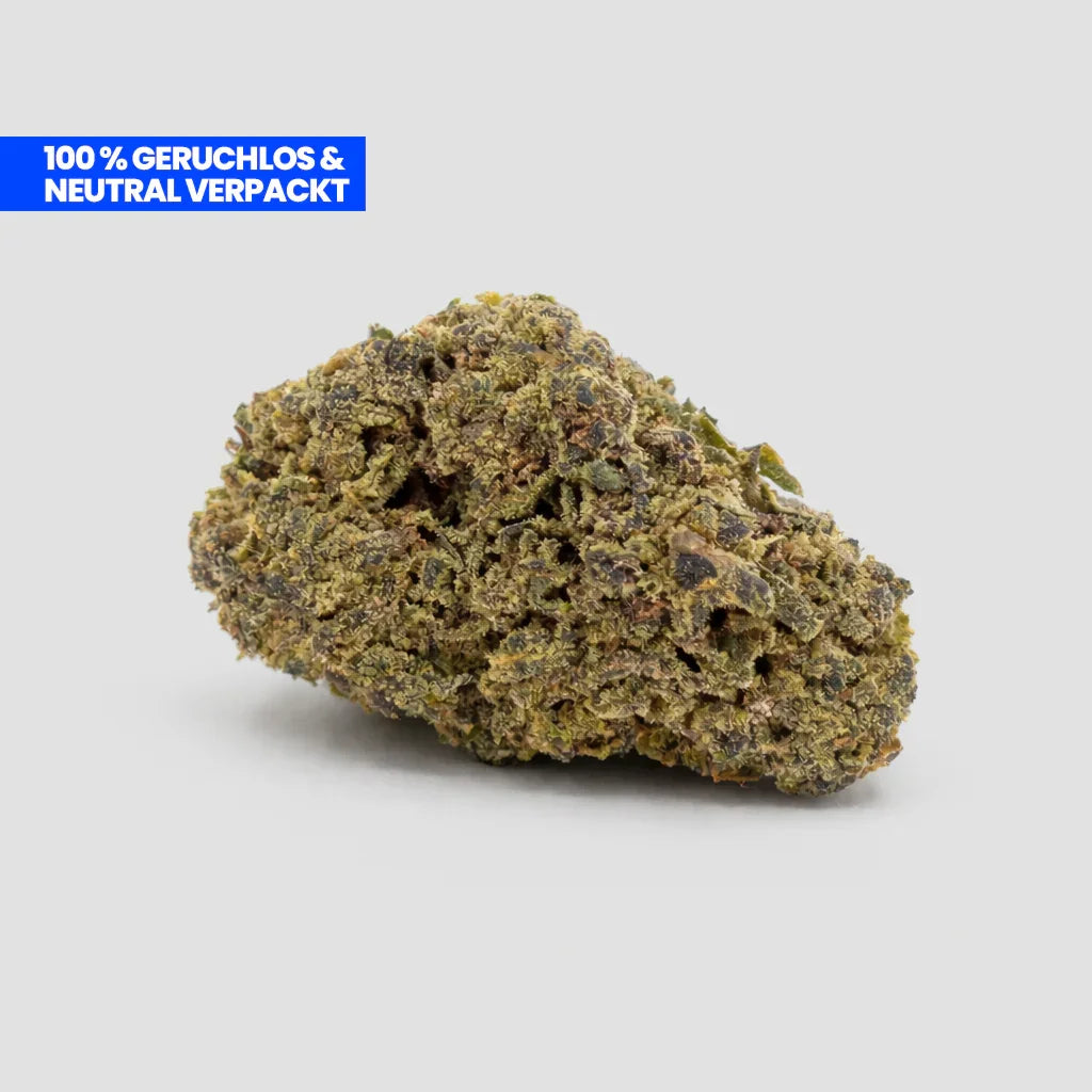 Purple Haze 9H-HHC Blüte