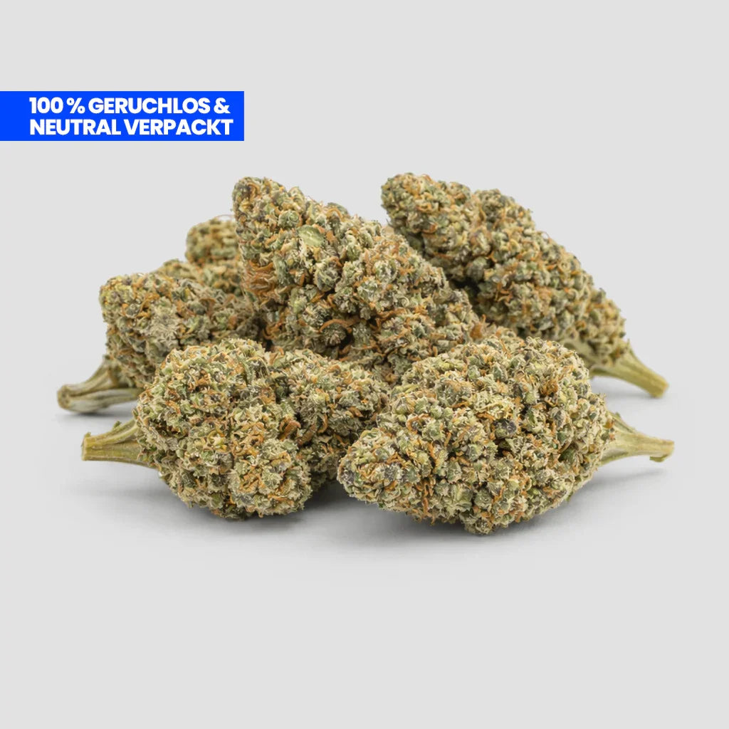 Flores de White Widow con un 25 % de CBD