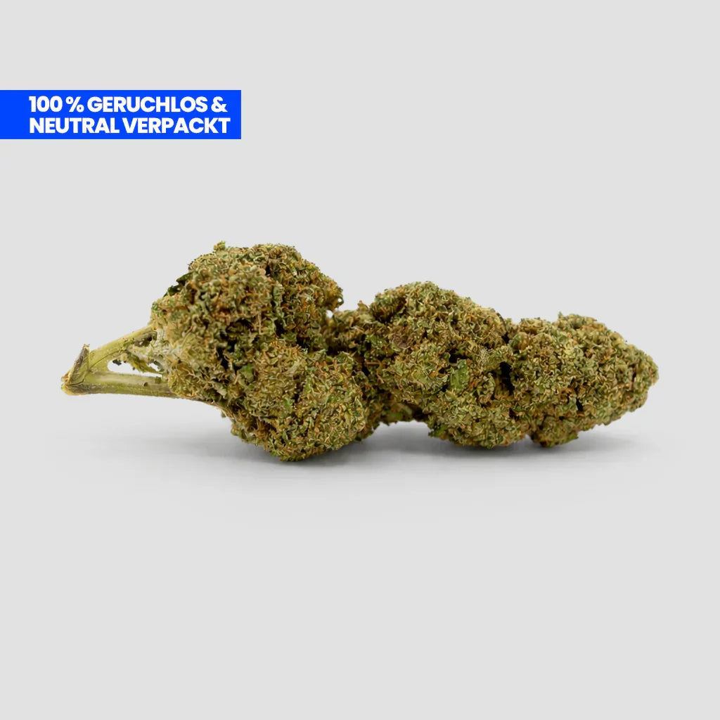 ZKS CBD 25 % Blüte
