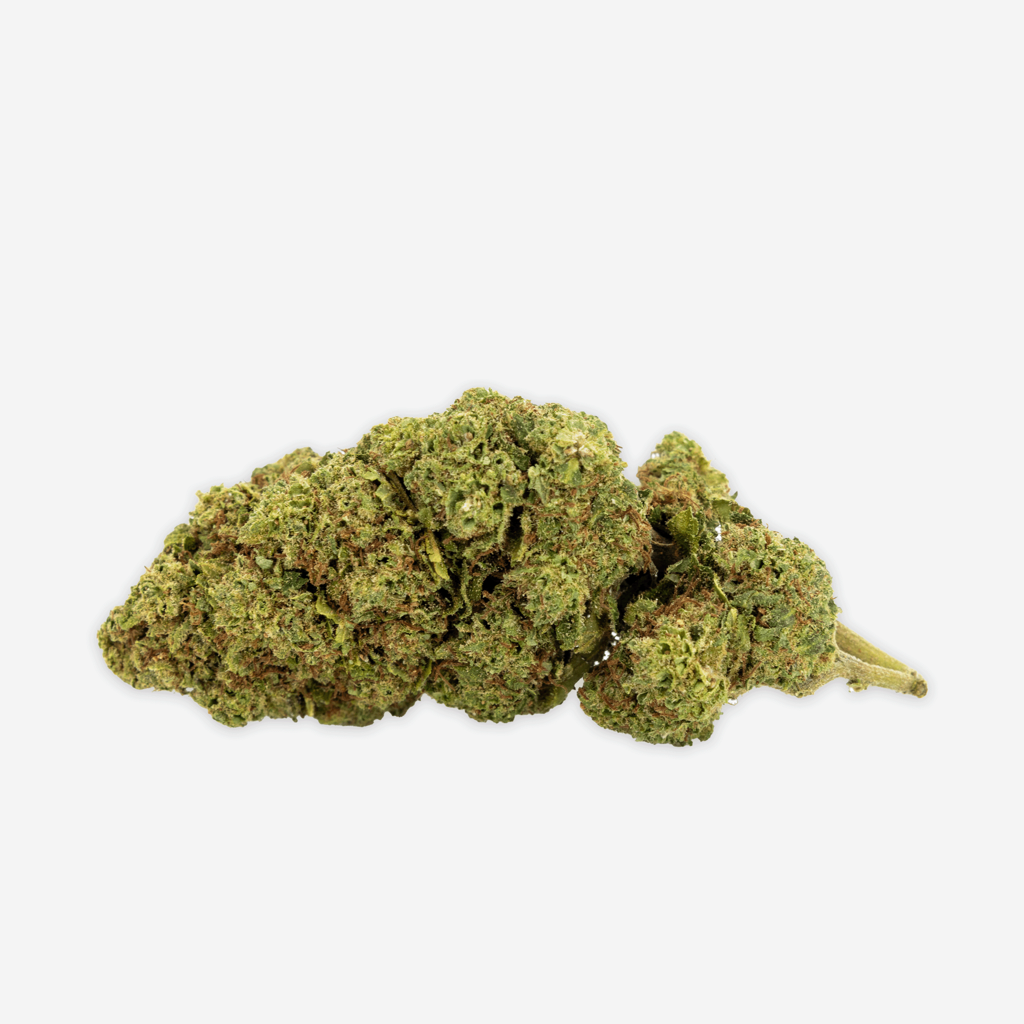 Blueten