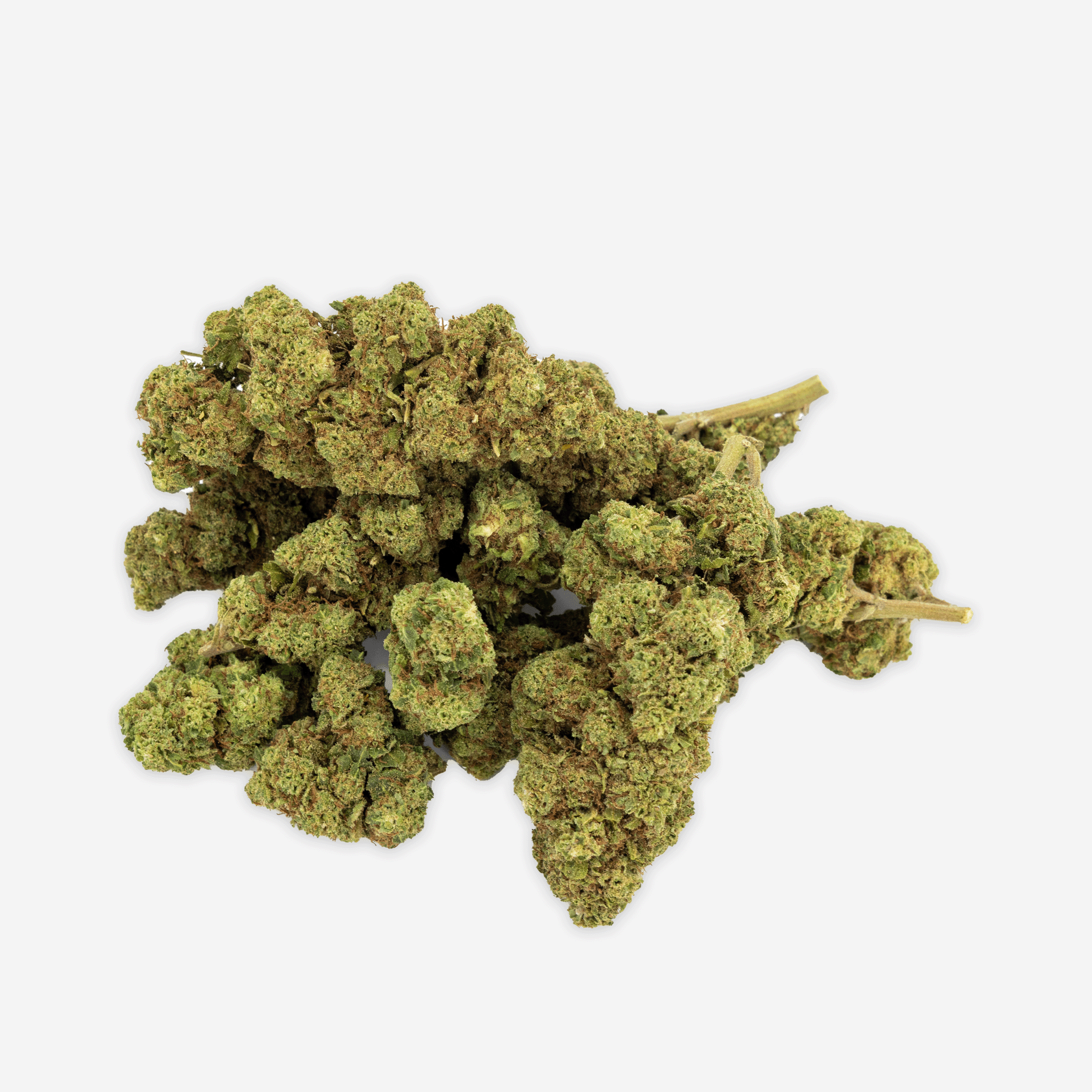 Blueten