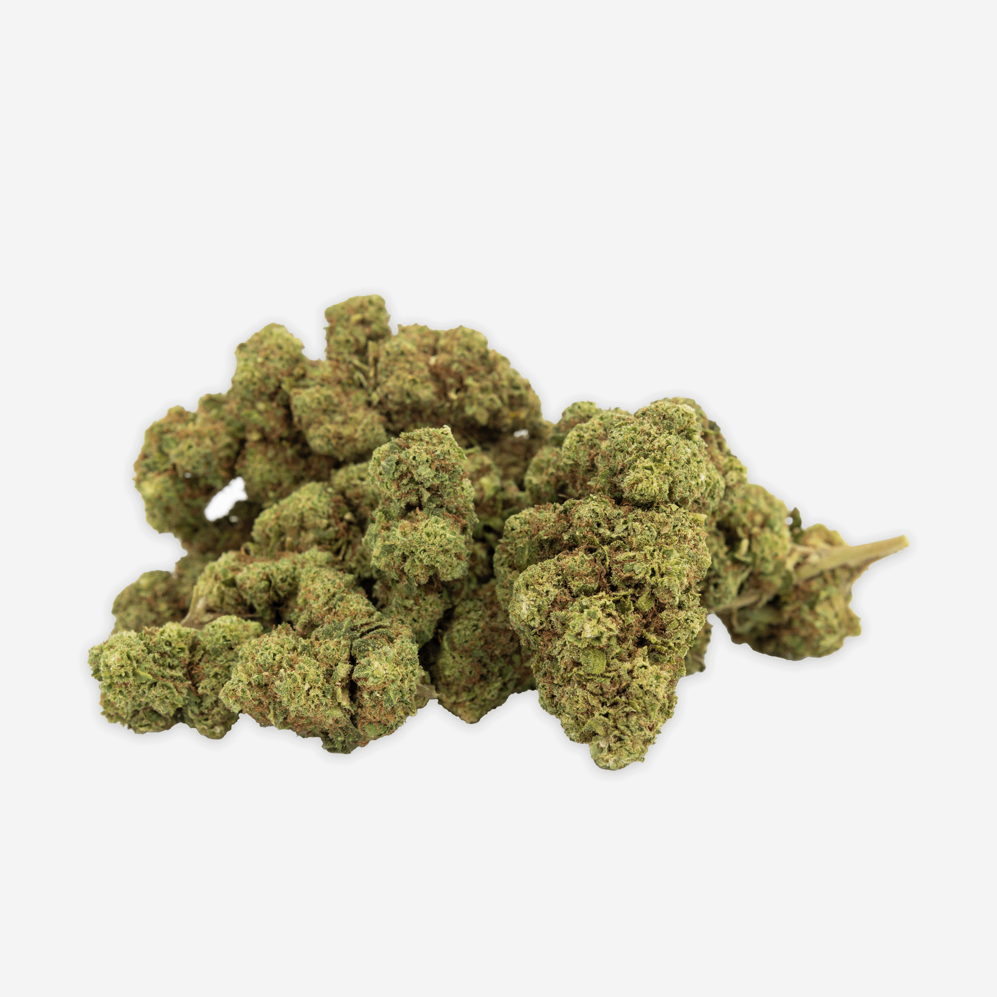 Blueten