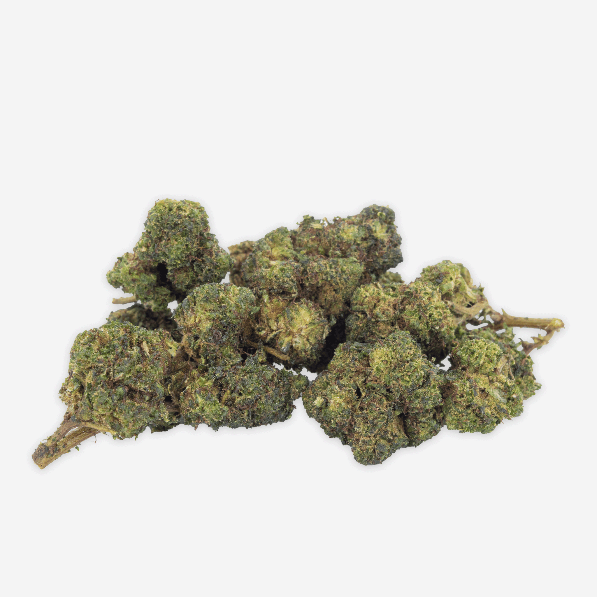 Blueten