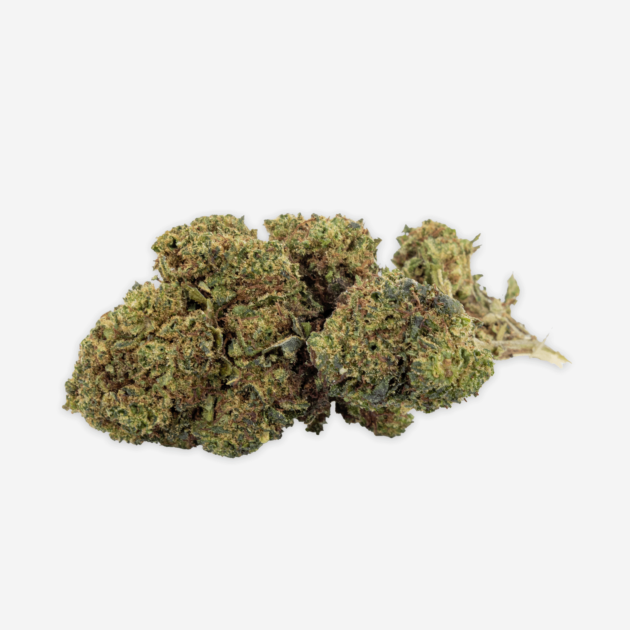 Holy Trinity Starter Kit 15g