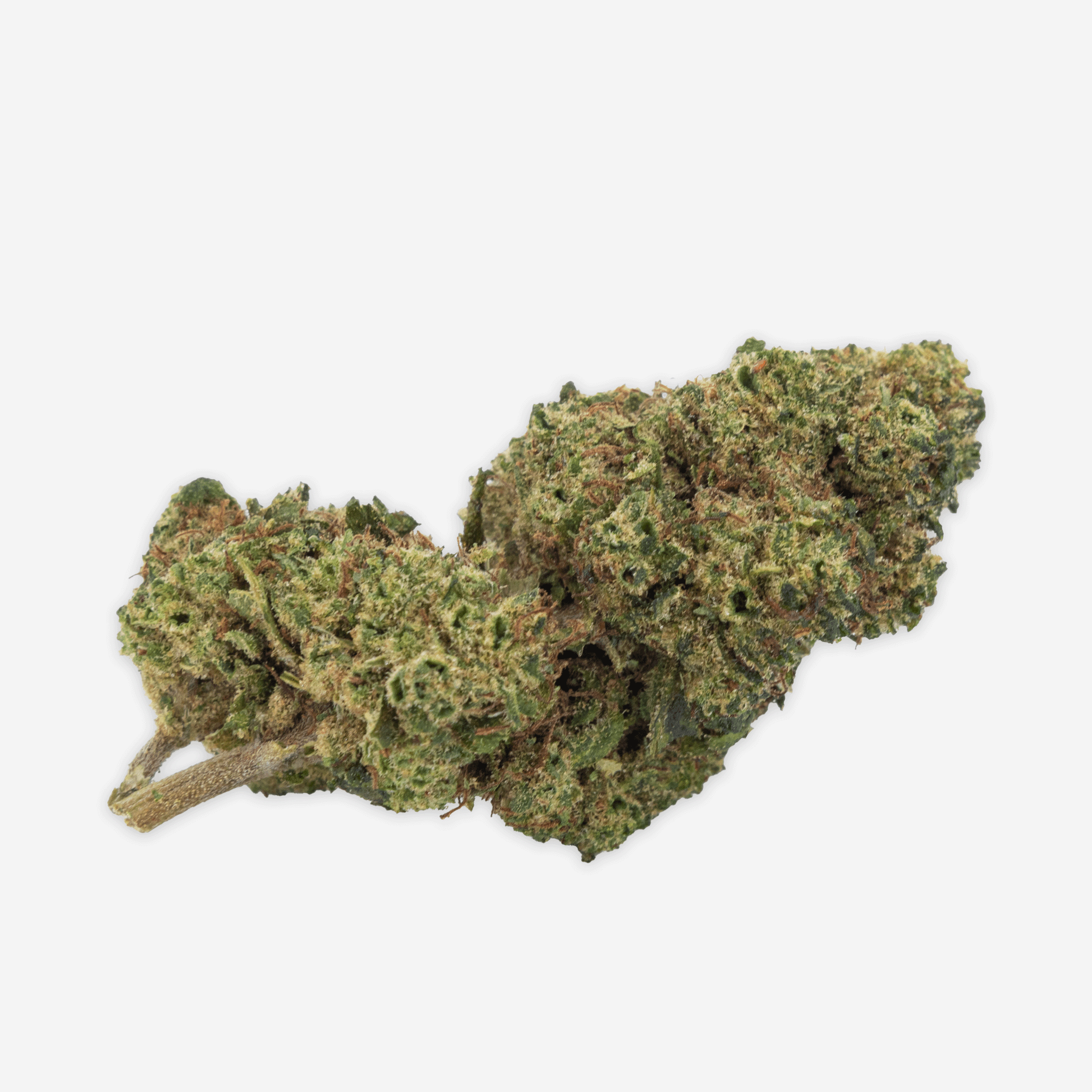 Blueten