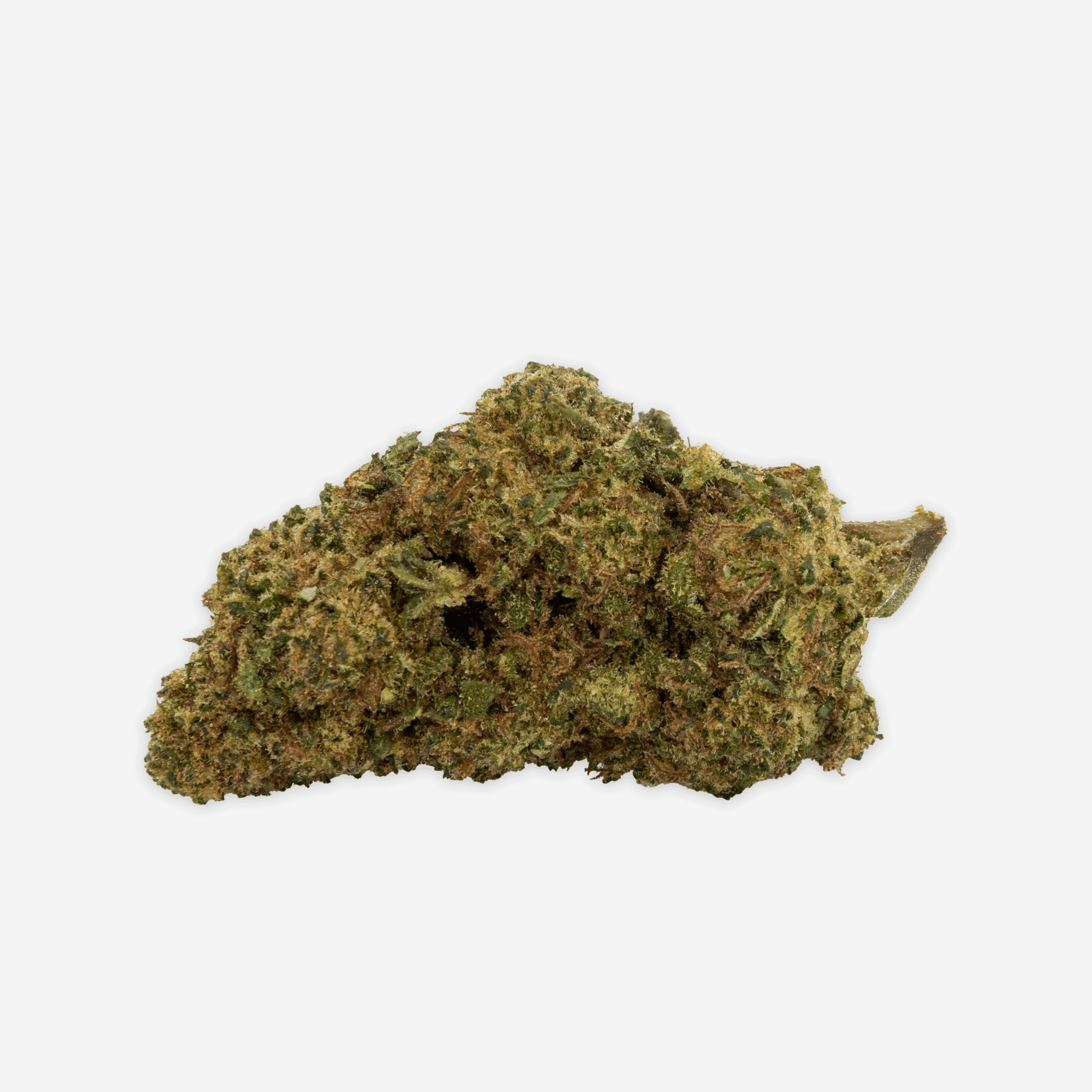Blueten