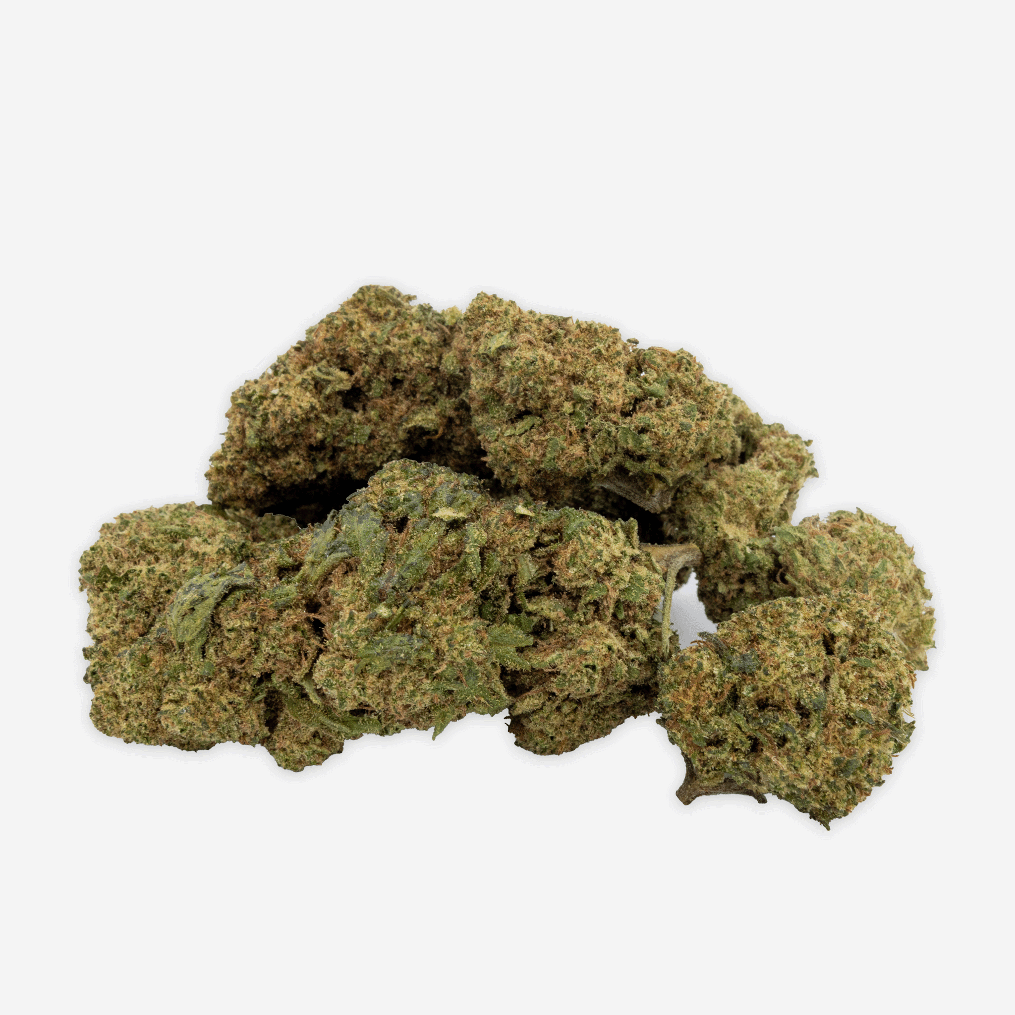 Blueten