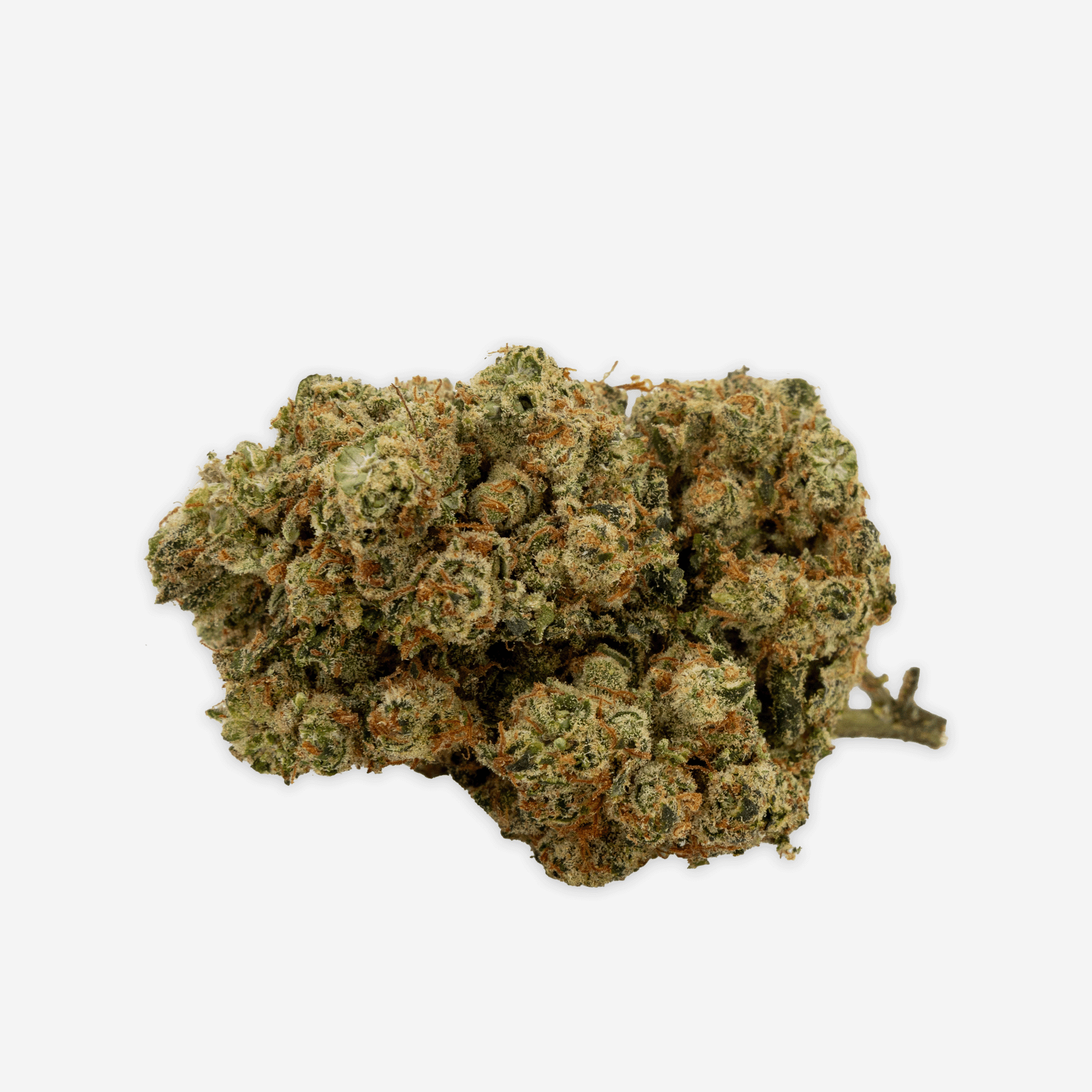 Blueten