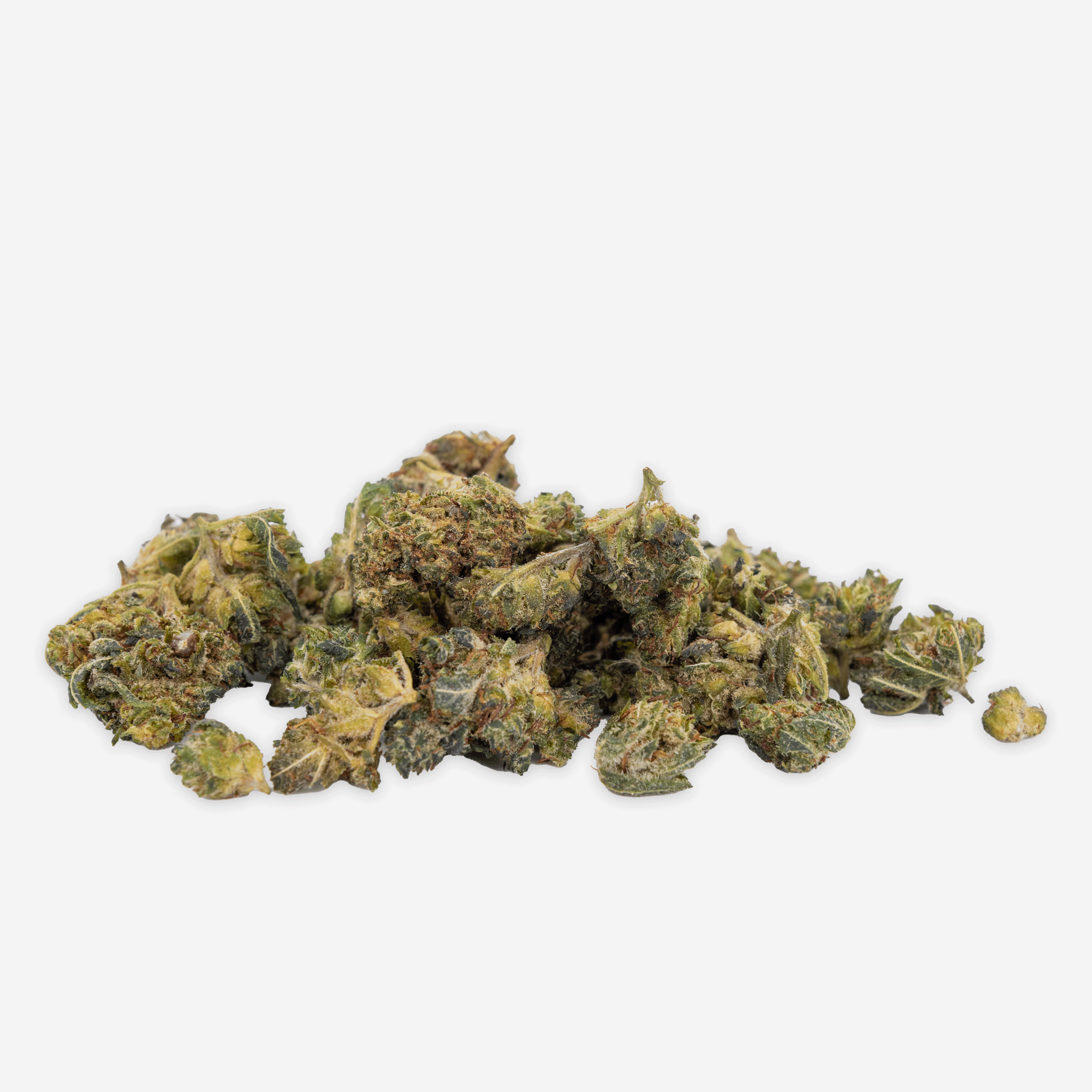 Blueten