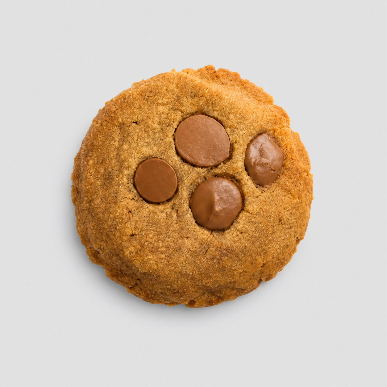 Chocolate-flavored THC cookie with 50 mg of THC on a plain background